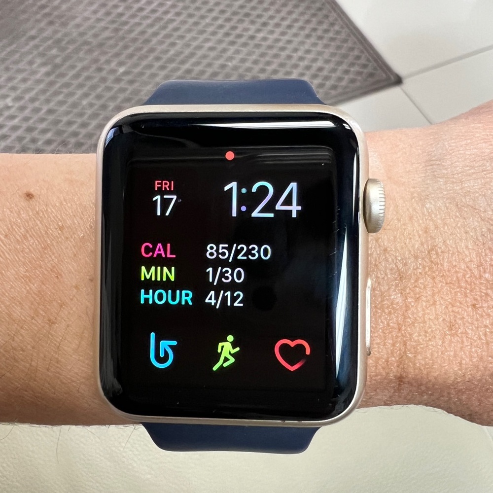 Apple Watch Series 1 42 mm Smart Watch